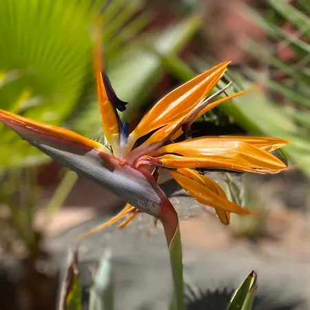 Adamsurfcom كوراليهو