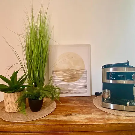 Adamsurfcom كوراليهو