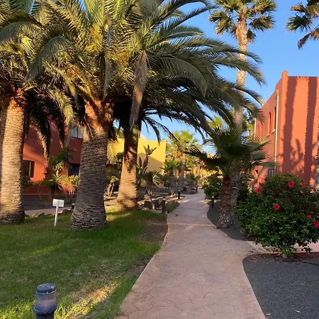 Adamsurfcom * كوراليهو